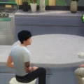A Comprehensive Guide to The Sims Social